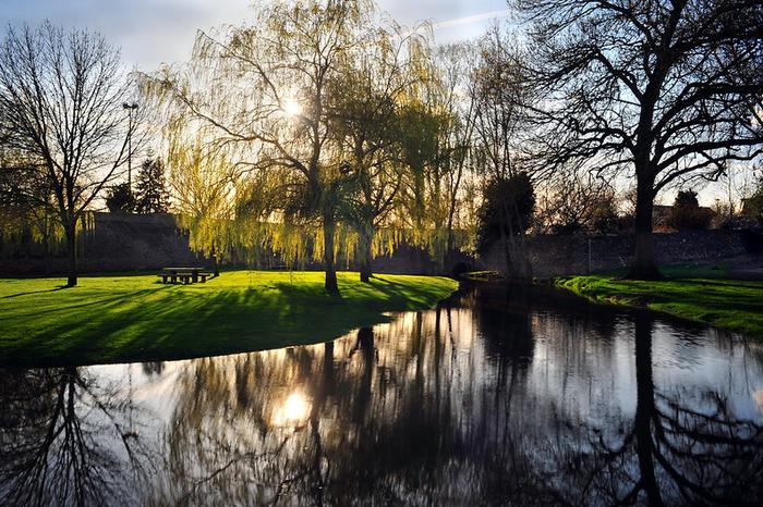 Bouchemaine — Immobilier — CENTURY 21 Maison Sabot — Parc de la Mairie 