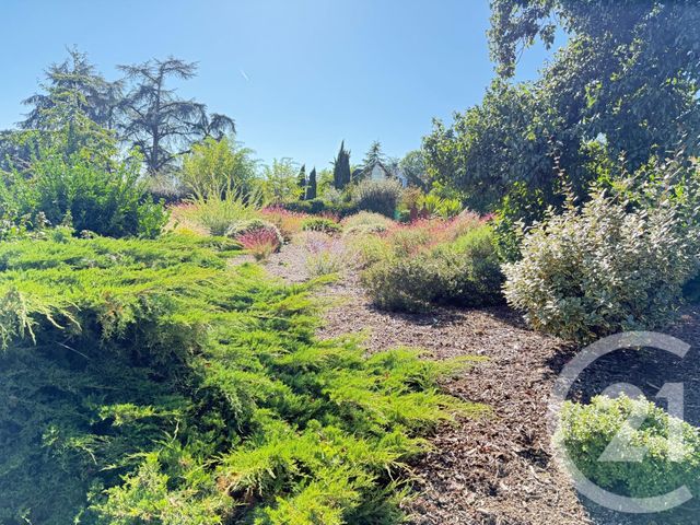 maison à vendre - 5 pièces - 160.0 m2 - BOUCHEMAINE - 49 - PAYS-DE-LOIRE - Century 21 Maison Sabot