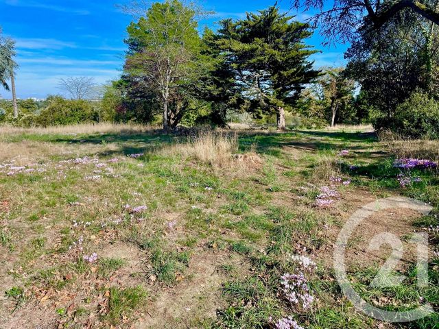terrain à vendre - 1951.0 m2 - BOUCHEMAINE - 49 - PAYS-DE-LOIRE - Century 21 Maison Sabot